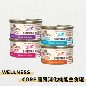 Wellness CORE腸胃消化機能系列 貓主食罐 85G